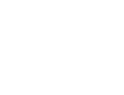 Logo Rina